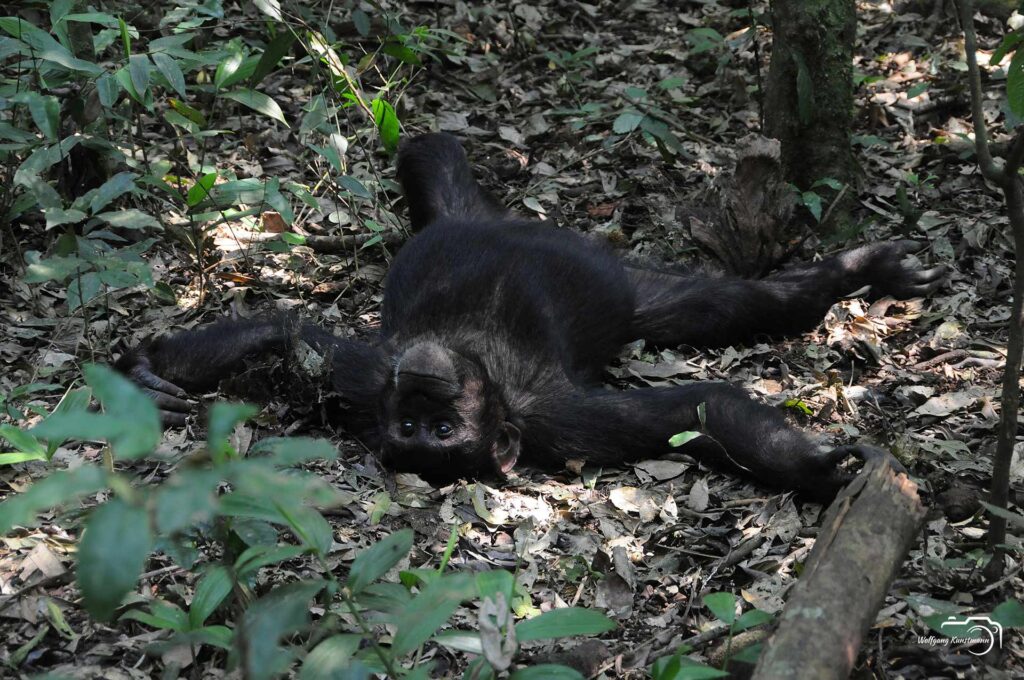 Wolfgang Kunstmann Uganda