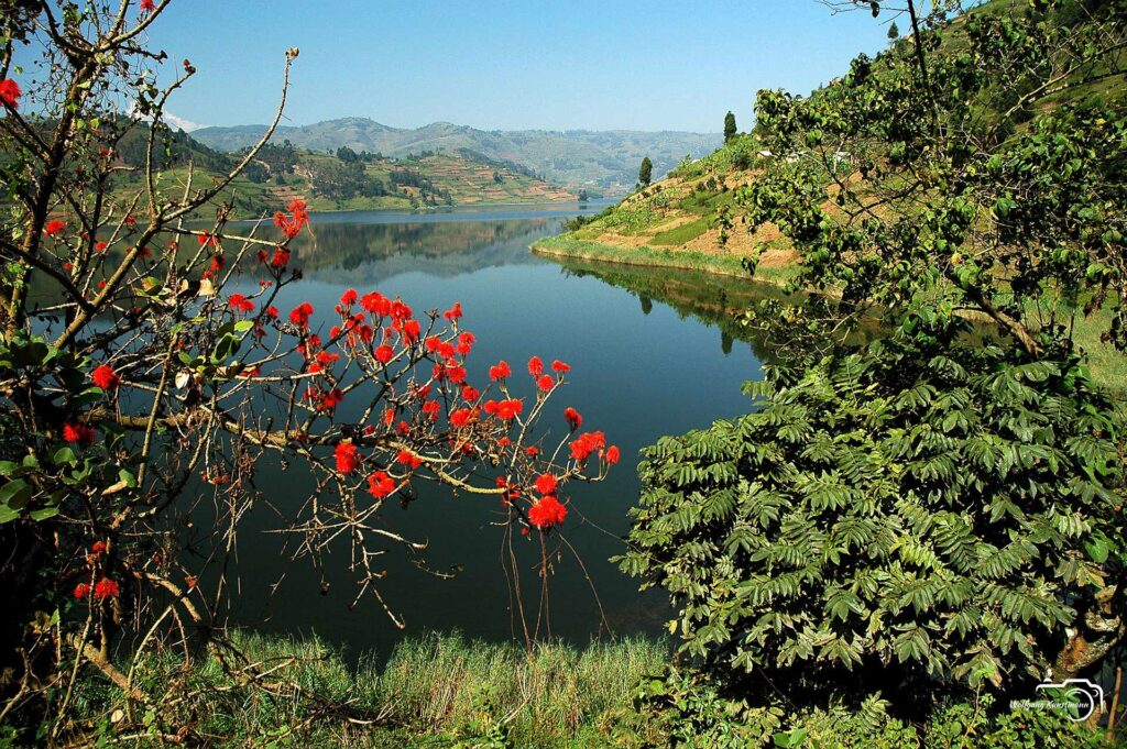 Wolfgang Kunstmann Uganda