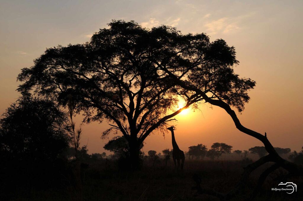 Wolfgang Kunstmann Uganda