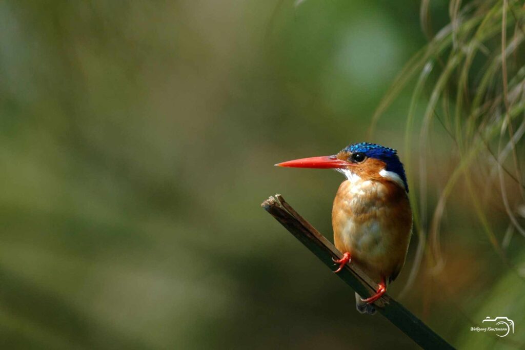 Wolfgang Kunstmann Uganda