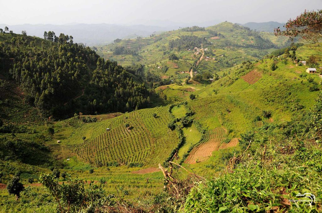 Wolfgang Kunstmann Uganda