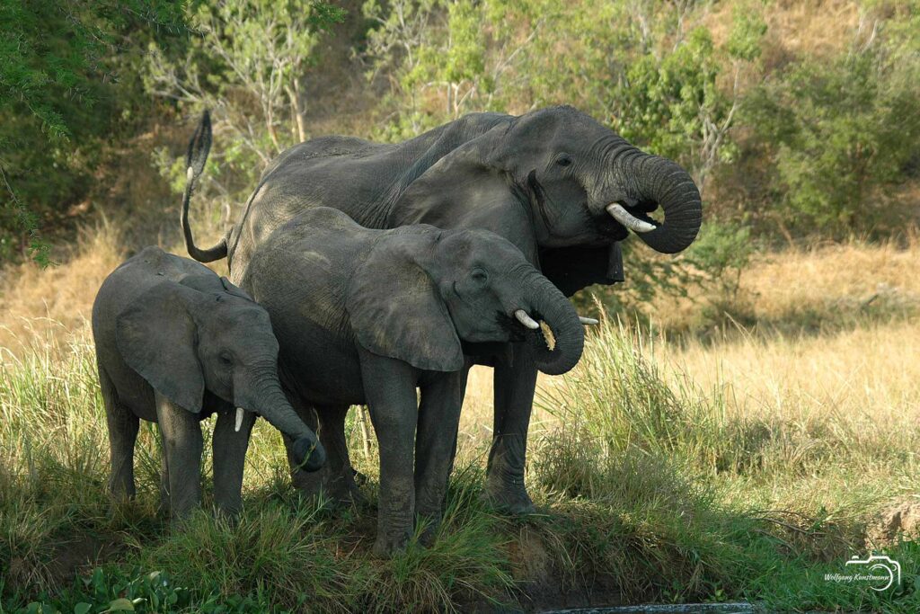 Wolfgang Kunstmann Uganda