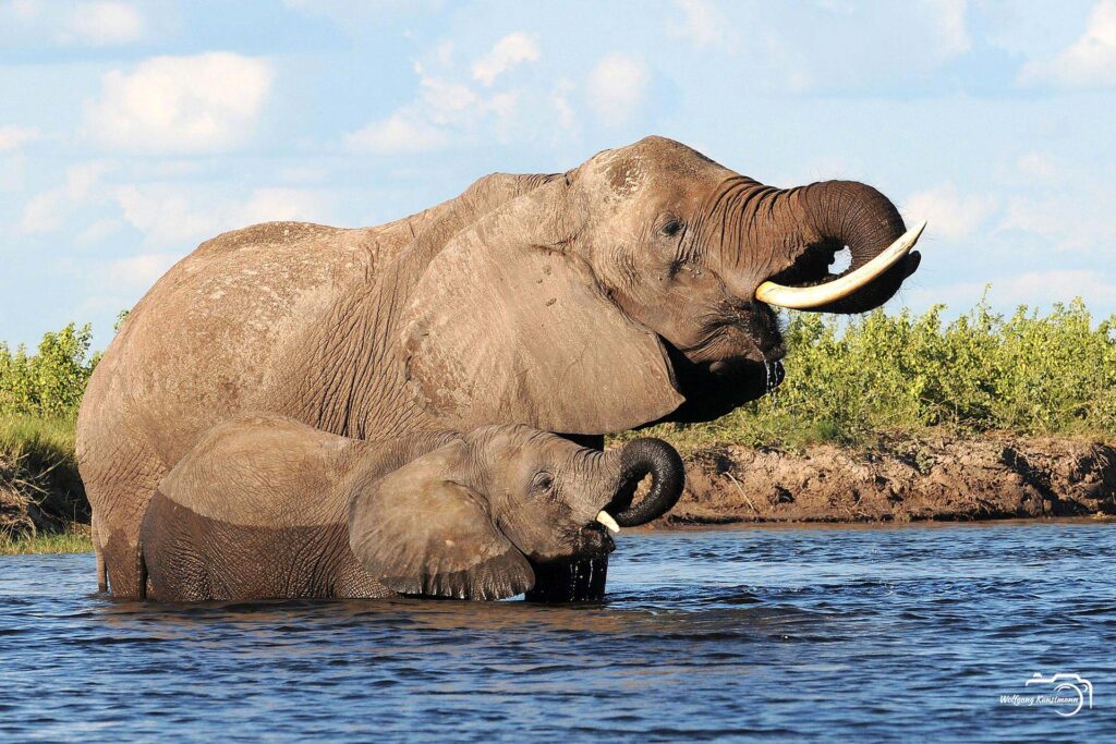 WolfgangKunstmann_Botswana