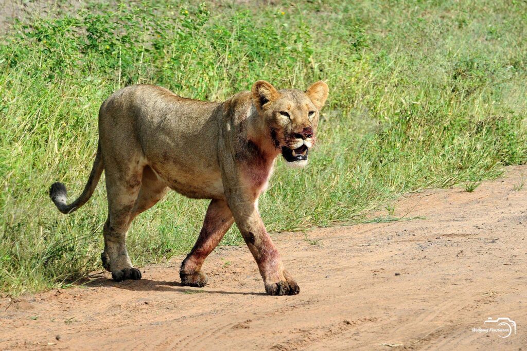 WolfgangKunstmann_Botswana