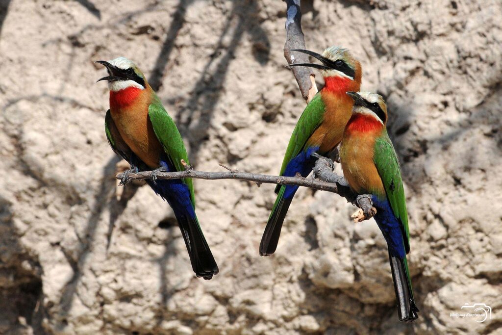 WolfgangKunstmann_Botswana