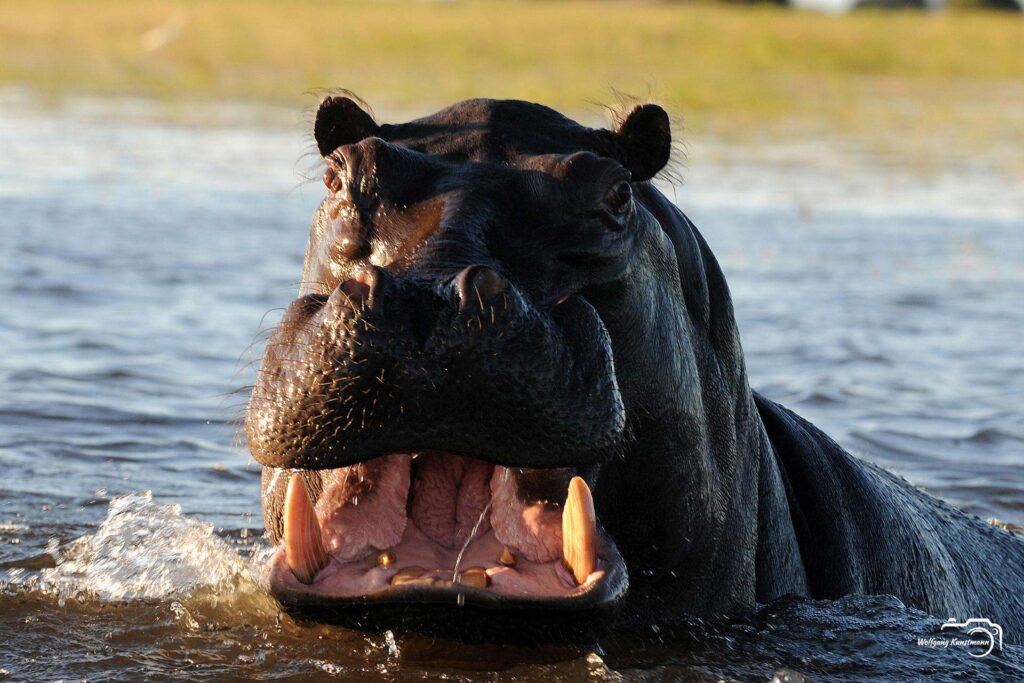 WolfgangKunstmann_Botswana