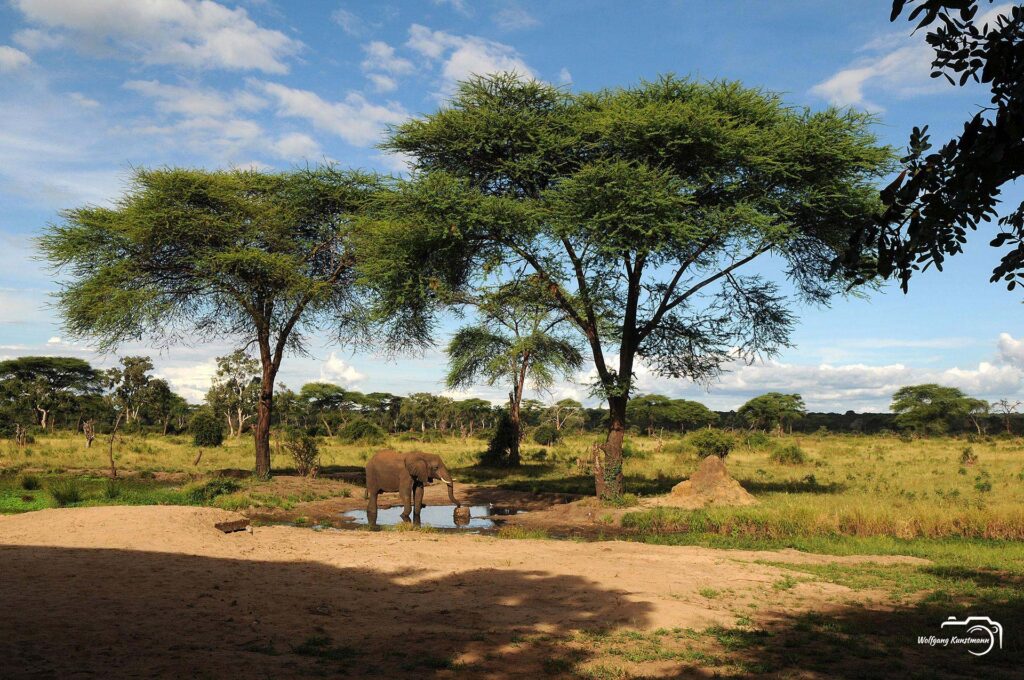 WolfgangKunstmann_Botswana