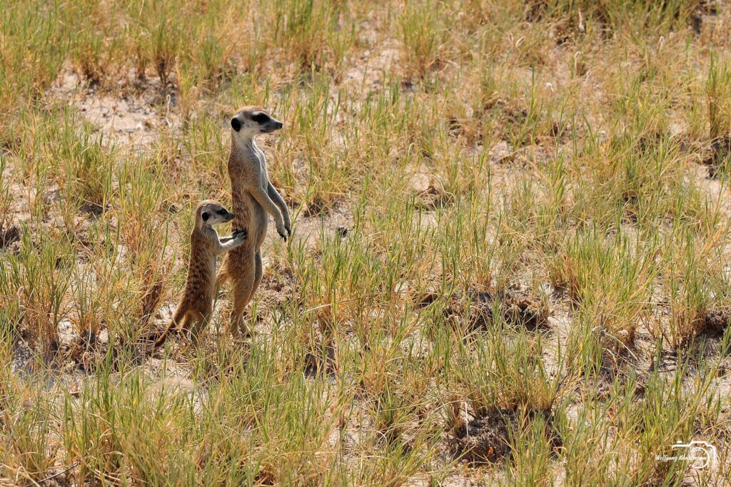 WolfgangKunstmann_Botswana