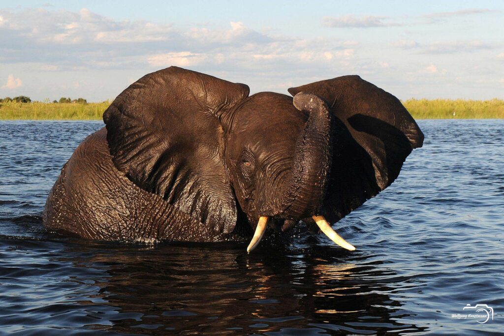 WolfgangKunstmann_Botswana