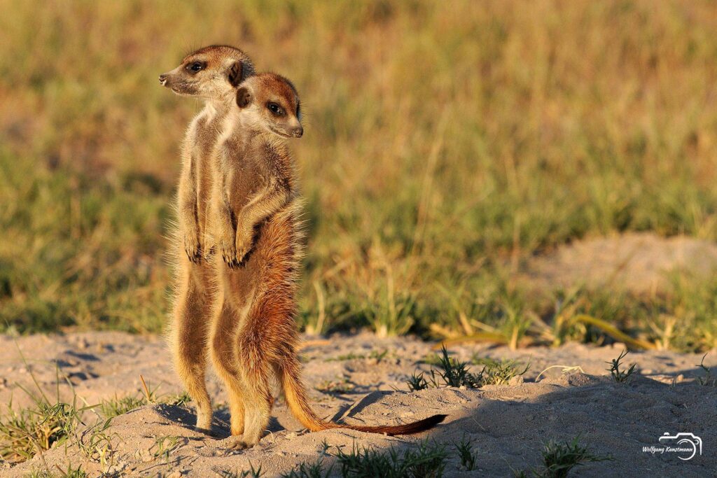 WolfgangKunstmann_Botswana