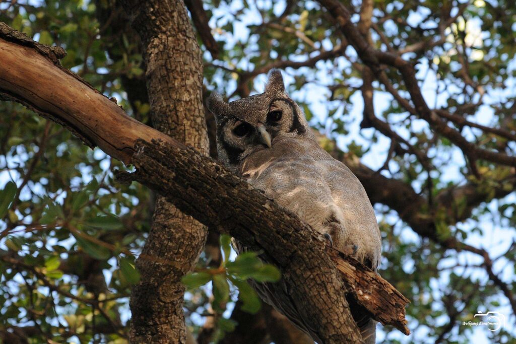WolfgangKunstmann_Botswana
