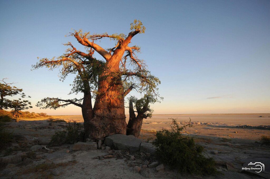 WolfgangKunstmann_Botswana