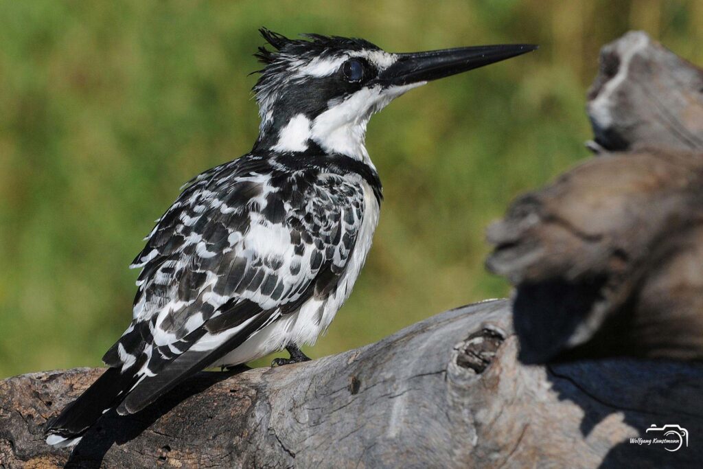 WolfgangKunstmann_Botswana