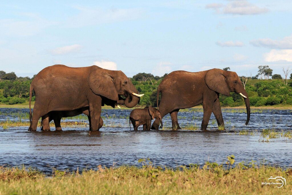 WolfgangKunstmann_Botswana