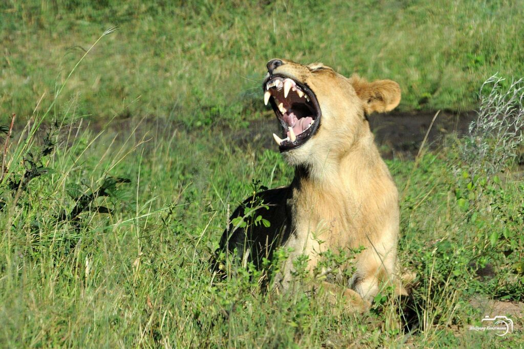WolfgangKunstmann_Botswana